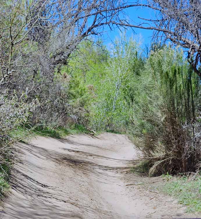 atv trail